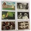 Image 20 : Royalty Postcard Album Approx. 115 Postcards