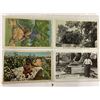 Image 7 : Black Americana Postcards Approx. 65