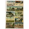 Image 6 : Florida Postcards Approx. 120