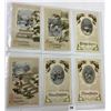 Image 6 : Winsch Christmas Holiday Greeting Album 160 Postcards