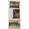 Image 3 : Western Album Approx. 260 Postcards