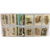 Image 16 : Animals - Pigs on Holiday Greeting Postcard Album Approx. 90
