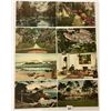 Image 4 : USA Hand colored Postcards 45+