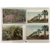 Image 6 : California Postcard Album Approx. 80
