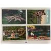 Image 9 : California Postcard Album Approx. 160