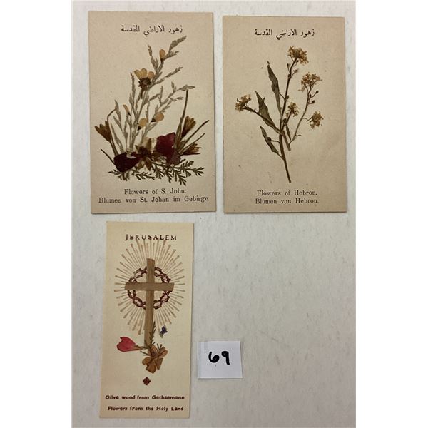 Pressed Flowers from the Holyland Book