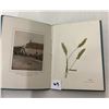 Image 3 : Pressed Flowers from the Holyland Book