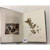 Image 4 : Pressed Flowers from the Holyland Book