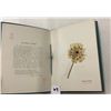 Image 5 : Pressed Flowers from the Holyland Book