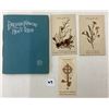 Image 7 : Pressed Flowers from the Holyland Book