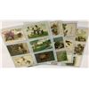 Image 8 : Insects on Greeting Postcard Album 39
