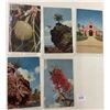 Image 6 : Guam Postcards 40
