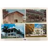 Image 3 : Trinidad Postcards 50+