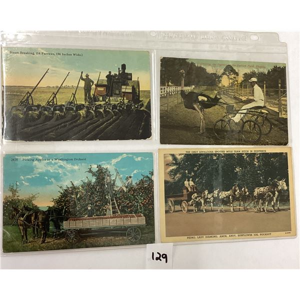 Farming Postcard Album 55