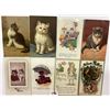 Image 3 : Animals - Cats & Kittens 25 Greeting Postcards