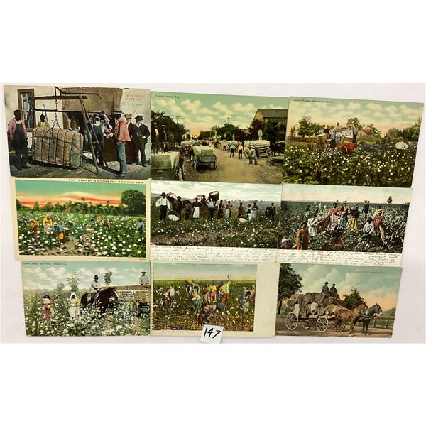 Black Americana Cotton Related Postcards 16