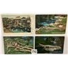 Image 4 : California Postcard Album Approx. 100