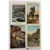 Image 4 : Arizona 100+ Postcards