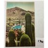 Image 3 : Hand colored Western State Postcards 35+