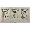 Image 1 : "The Weaker Sex" Walter Wellman Suffrage Comic Postcards 3