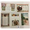 Image 2 : Whiteny Thanksgiving Postcards 20
