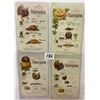 Image 1 : Thanksgiving Holiday Greeting Postcard Album of 34