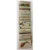 Image 4 : Birthday Holiday Greeting Postcards 100+