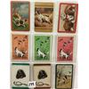 Image 3 : Misc. Playing Cards Album Approx. 270