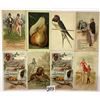 Image 1 : Ephemera - Arbuckle's Ariosa Trade Cards 32
