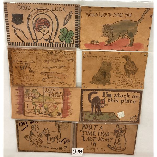 Novelty - 13 Leather Cat Postcards