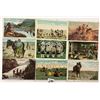 Image 1 : American Indian Postcards 55