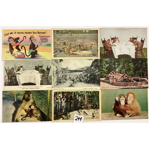 Animals - Monkeys on Postcards Approx. 85