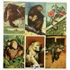 Image 3 : Animals - Monkeys on Postcards Approx. 85