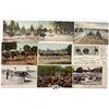 Image 1 : Animals - Ostriches 75 Postcards