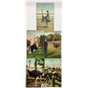 Image 2 : Animals - Ostriches 75 Postcards