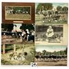 Image 3 : Animals - Ostriches 75 Postcards