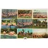 Image 1 : Animals - Flamingo Postcards 90+