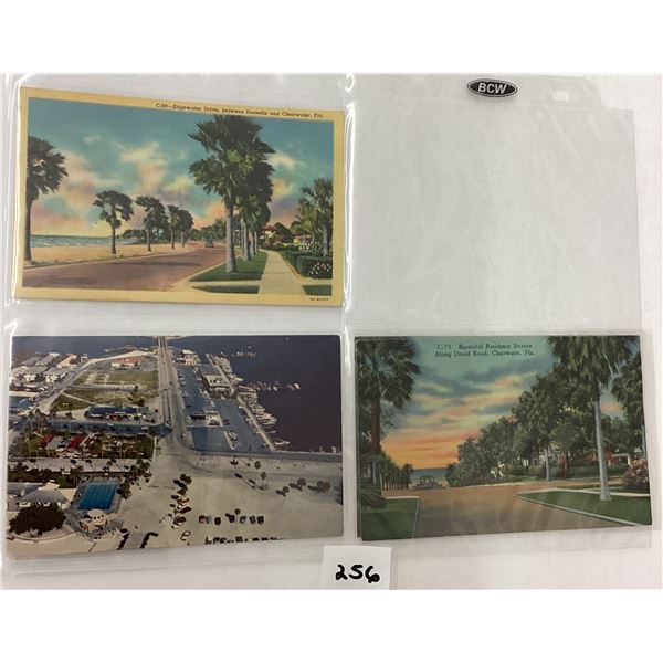 USA Views Album 200+ Postcards