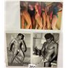 Image 1 : Adult Theme & Related Postcard Album 115+