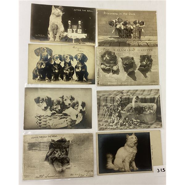 Animals - Real Photo Rotograph Cats & Dogs Postcards 14