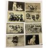 Image 1 : Animals - Real Photo Rotograph Cats & Dogs Postcards 14