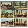 Image 1 : Yellowstone National Park Railroad Train Postcards 12