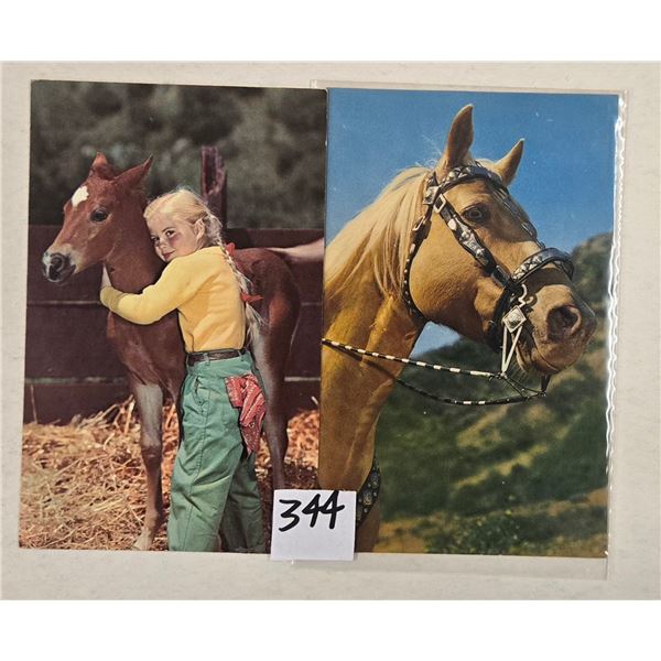 Approx. 175 Postcards of Horses