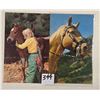 Image 1 : Approx. 175 Postcards of Horses