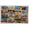 Image 2 : Approx. 175 Postcards of Horses