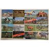 Image 3 : Approx. 175 Postcards of Horses