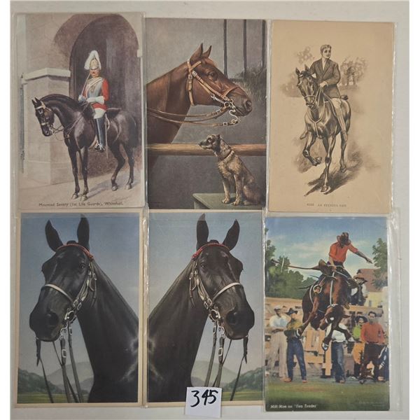 Animals - Horses Approx. 70 Postcards