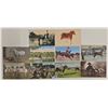 Image 3 : Animals - Horses Approx. 70 Postcards