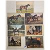 Image 4 : Animals - Horses Approx. 70 Postcards