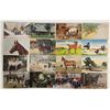 Image 5 : Animals - Horses Approx. 70 Postcards